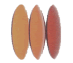 Zeiss Skylet Tints